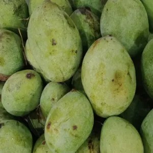 

mangga manalagi 500g