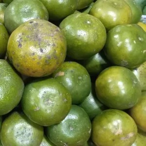 Jeruk Peras Jawa Manis 1 Kg