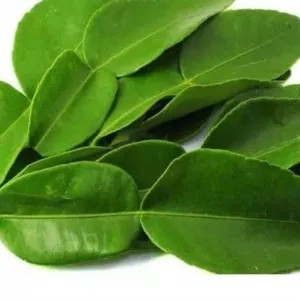 

daun jeruk 1per pack