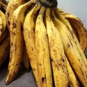 pisang tanduk 1000g