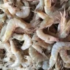 udang vaname kecil 1kg