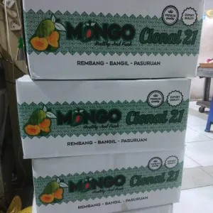 

mangga harumanis 1dus ( berat 5.5kg ) 1per pack