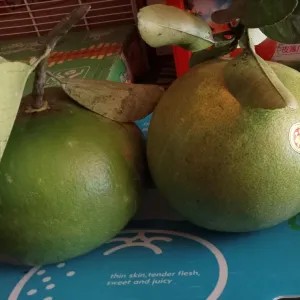 Jeruk Bali Yuji Sedang 1 Pasang