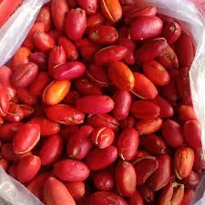 KULIT MELINJO KUPAS 1 Bks