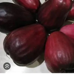 Jambu Bol Jamaika 1kg