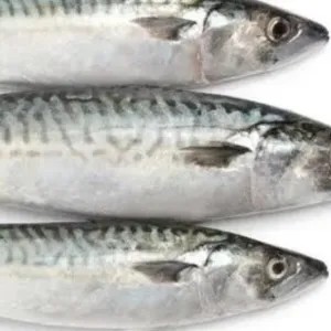 ikan kembung layang 1kg