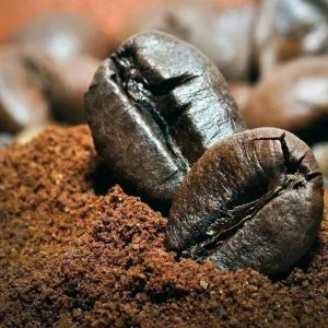 

Biji Kopi Arabika Papua 100g