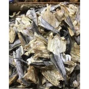 

ikan gabus kecil 200g