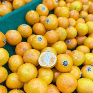 Jeruk Wogan Mandarin 1kg