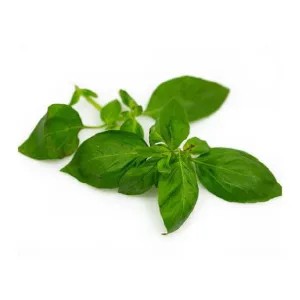 Daun Basil / Basil Leaf Fresh 50g