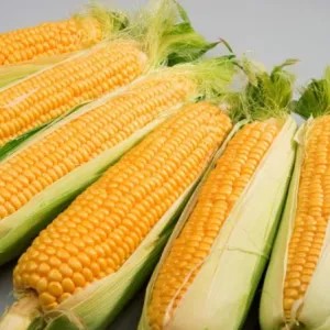 Jagung Manis 1kg