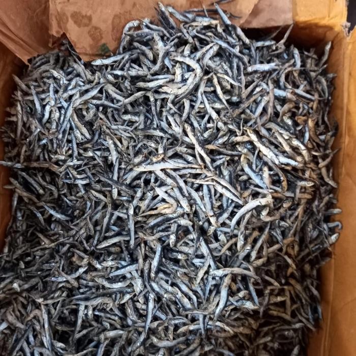 

TERLARIS Ikan Teri Batu (Bada Karang) SUPER CIREBON READY STOCK