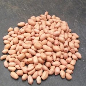 

kacang tanah 1kg