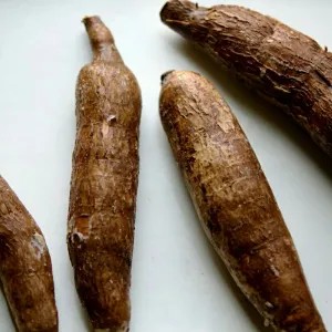 

Singkong Bagus 1kg