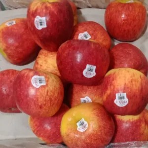 apel Envy new Zealand 1kg