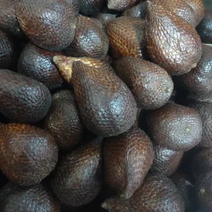 

salak kecil kecil 1kg