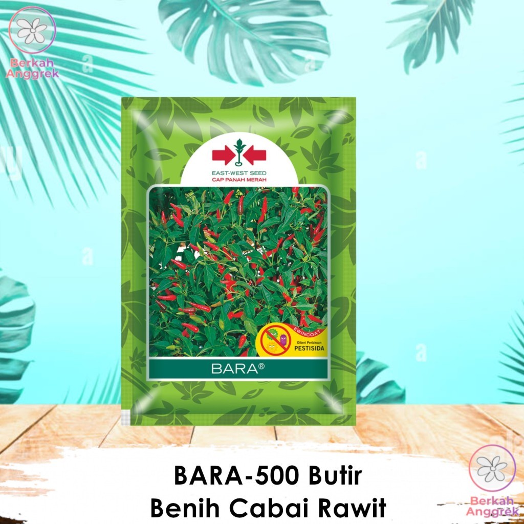 Benih  Cabe Bara Cabai Rawit Bara 500 Biji