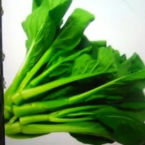 Baby caisim 250 gr