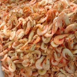 udang asin kering