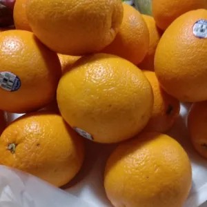 jeruk Sunkist import 1kg