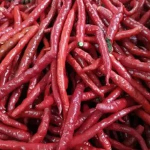 

cbe kriting petikan 250g