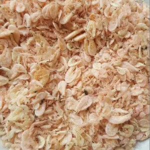 

udang rebon 100g