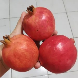 

delima import kecil 1per pack