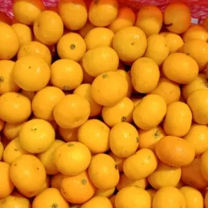 

jeruk santang gundul 1kg