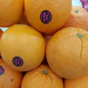 jeruk Sunkist 1kg