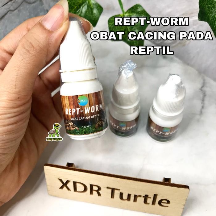 REPT-WORM OBAT CACING REPTIL KURA DARAT SULCATA FORSTENI PARDALIS
