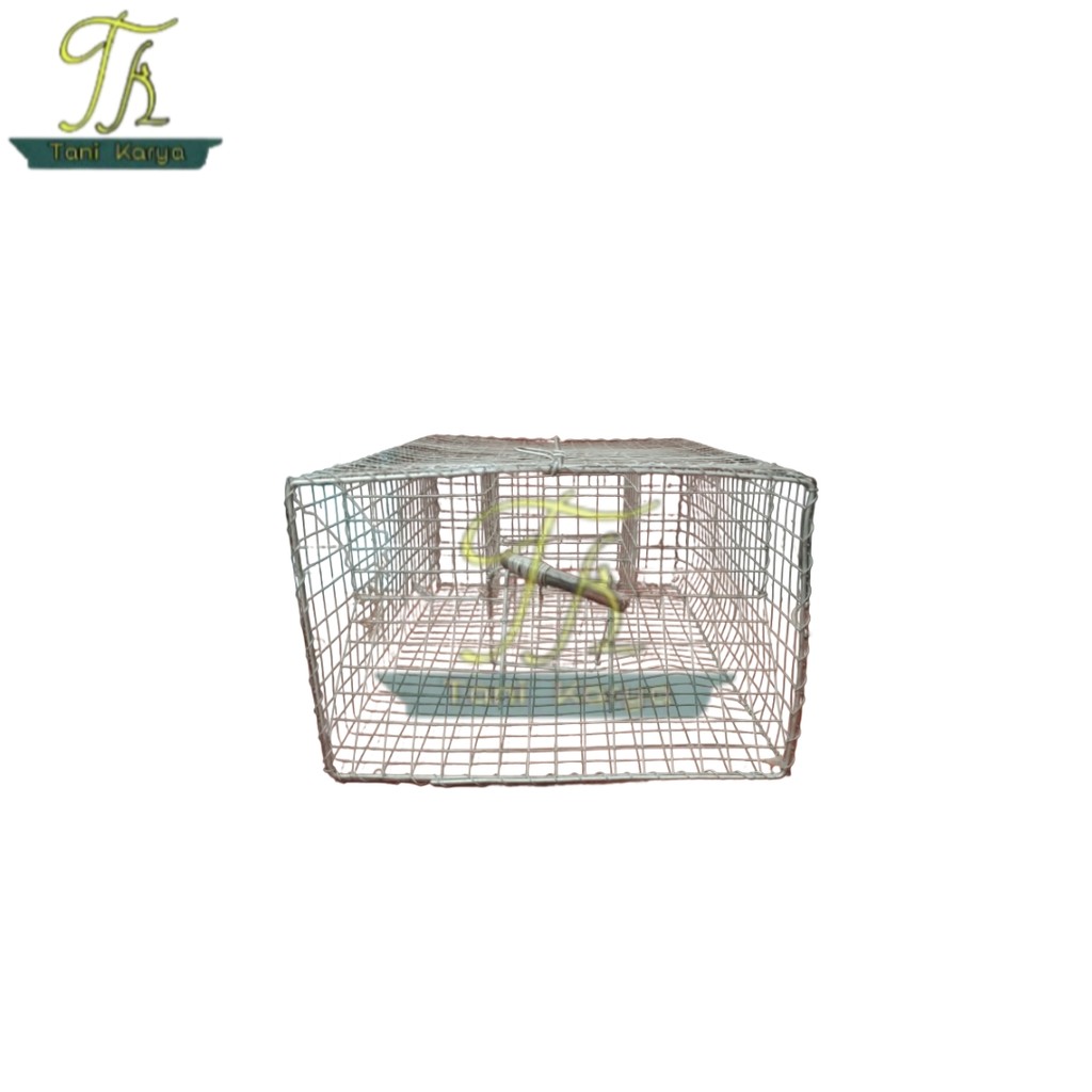 PERANGKAP TIKUS / JEBAKAN TIKUS / PERANGKAP JEBAKAN TIKUS MASAL