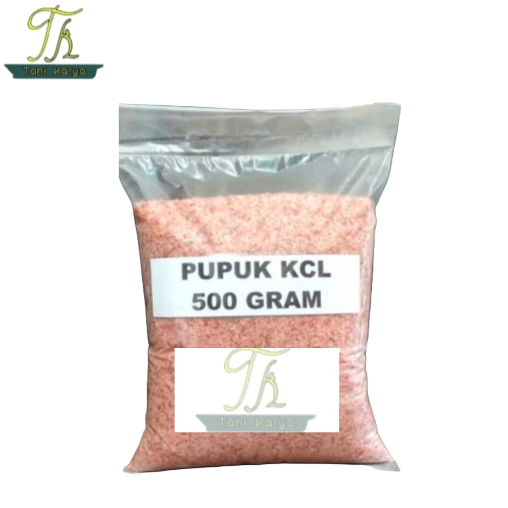 PUPUK KCL IMPORT BELARUSIA 500 GRAM / KCL SASCO IMPORT BELARUSIA / PUPUK BUNGA PUPUK BUAH