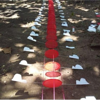 (Good) Badan Layangan Naga