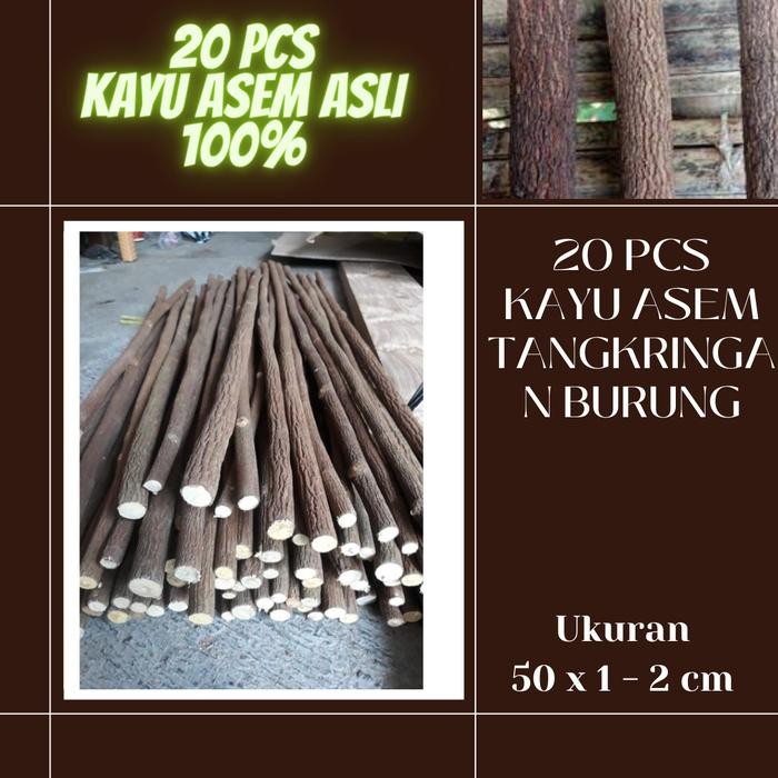Ranting kayu asem tangkringan kaki burung 20 pcs