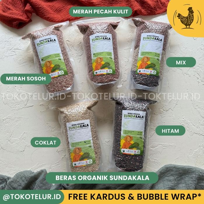 

Undaala Bera Organi Undaala 1G Merahhitamcolat