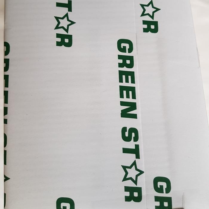 

Ncr Gs Green Star Bottom Merah F4 Kertas Karbon Nota Kontan