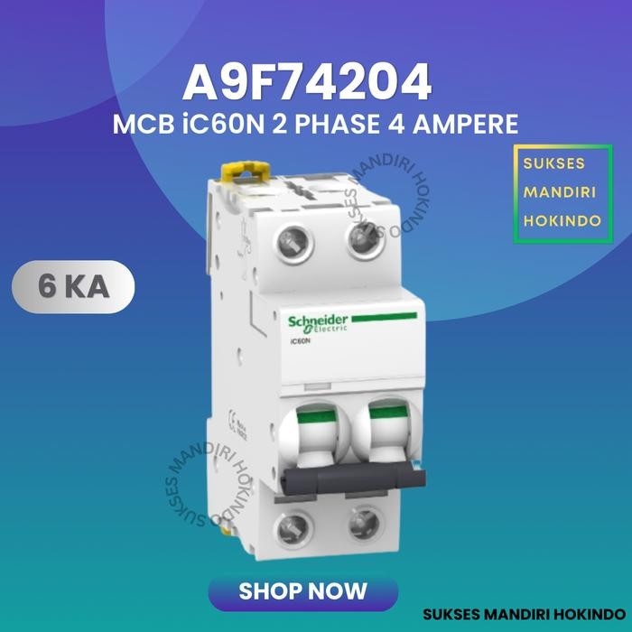MCB 2P 4A 2 PHASE 4 AMPERE ORIGINAL SNI SCHNEIDER IC60N 2 PAS 4 AMPER