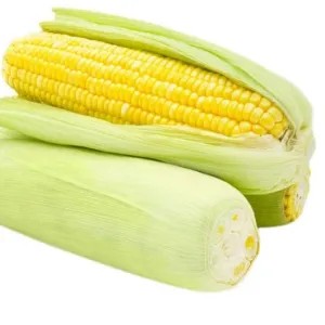 

jagung manis kulit 1kg