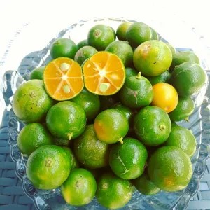 

jeruk lemon cui 250g