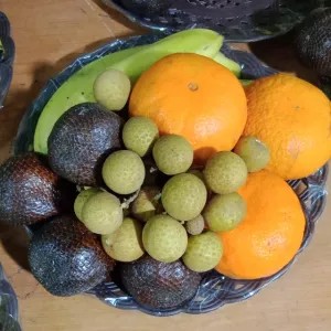 

parsel piring coklat : pisang3 salak5 jeruk kino3 lengkeng 200gr 3L