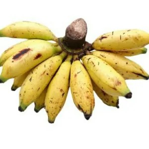 

pisang lampung besar 1per pack
