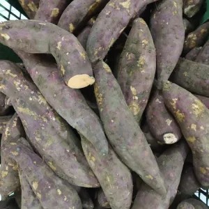 

ubi orens / merah 500g