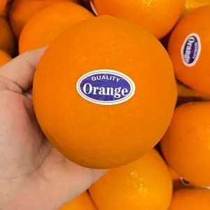 Sunkist Valencia 1Kg
