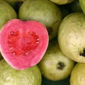 jambu biji 1kg