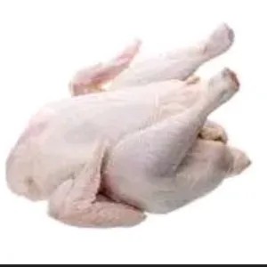 AYAM UTUH
