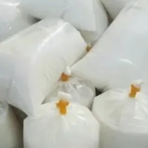 SANTAN KELAPA MURNI