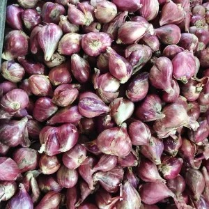 bawang merah  brebes super 1kg