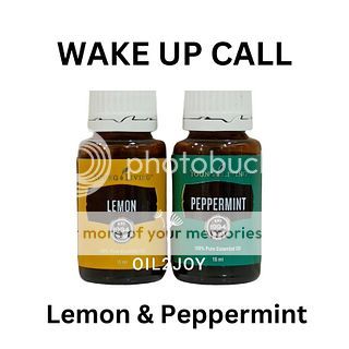 Lemon Peppermint Blend YL YLEO Essential Oil 5ml 15ml