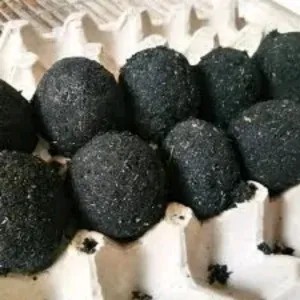 telor bebek asin mentah