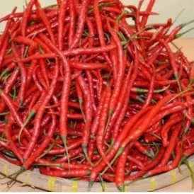 cabe merah keriting 1 kg